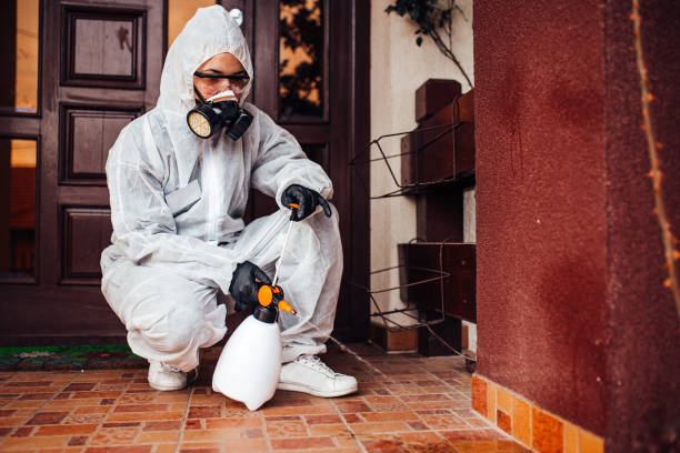 Reliable Cockroach Control contractor in Mountain City, TN by Nex Pest Control