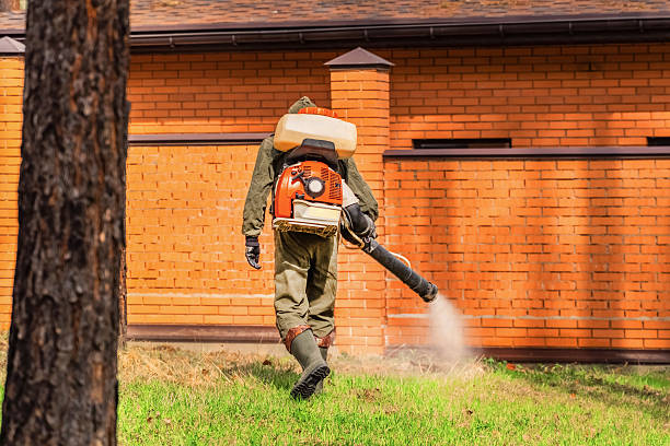 Trusted Fumigation Services service in Mountain City, TN - Nex Pest Control